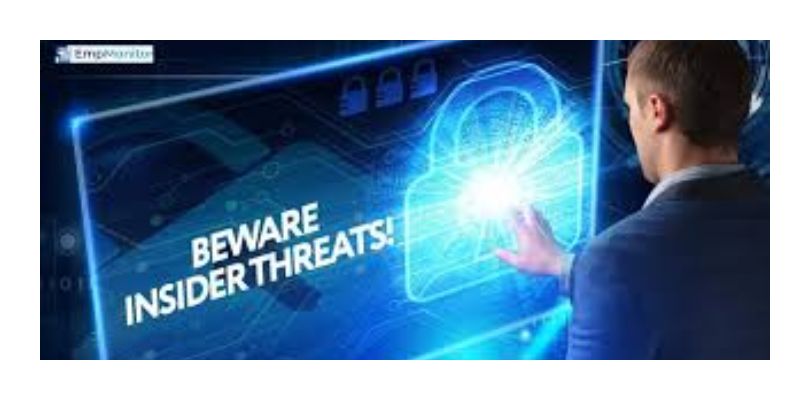 Examining the Risks Posed by Insider Threats