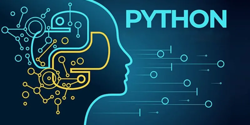 Why Is Python a Trusted Language Across Industries?