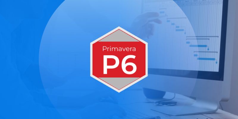 6 Must-Know Oracle Primavera P6 Tips for Project Success